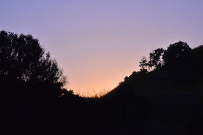 DSC_6246 (Large).JPG